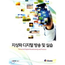 지상파 디지털 방송 및 실습, 도서출판 영(Young), 김한종 저
