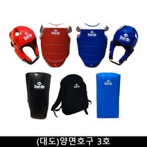 기타 태권도 용품 (대도)양면호구 3호