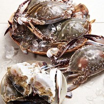 [아이원세븐] [산지직송] 당일잡은 태안 가을 꽃게 2kg/6-10마리, 상세 설명 참조
