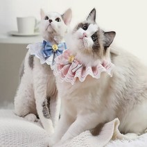 강아지 고양이 레이스 스카프 케이프 턱받이 목도리 반다나, L, 피치 핑크