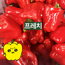 프레치 국내산 아삭하고 싱싱한 홍피망, 1kg (보통), 1개