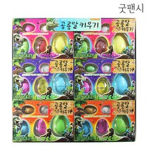 공룡알키우기 공룡 부화 관찰 어린이 선물 단체선물, 랜덤1개