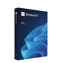 마이크로소프트 Windows 11 Pro FPP 한글, Windows11 Pro FPP