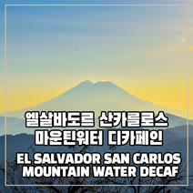 (커피생두) 314 엘살바도르 산카를로스 마운틴워터 디카페인 1kg