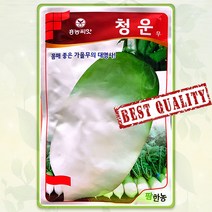 가을무 김장무 씨앗 종자 씨 무씨앗 무씨 청운무 2000립 HN 23년포장