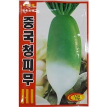 AR 중국청피무 씨앗 저장성이 좋은 씨앗 25g, 상세페이지 참조