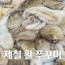 서해안에서 잡은 싱싱한 활 쭈꾸미 1kg, 4kg