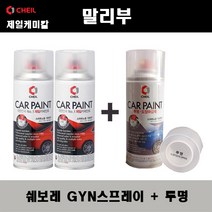 쉐보레 말리부 GYN 스노우플레이크화이트펄(2개가 한세트) 스프레이 + 투명스프레이 자동차 도색 차량용 카페인트, GYN스프레이+투명스프레이(제일)
