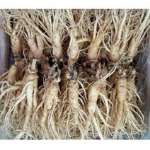 실속형 가정용 5년근 인삼 350g750g 1kg 12-15뿌리 (오쿠용 홍삼용 실속인삼), 가정용난발삼 1kg (12-14뿌리)