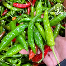 국내산 청양고추 반홍청양고추 5kg, 1개