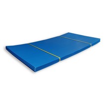 플라베니아 청색 20장 2.5T 900 x 1800 플로베니아 바닥보양재 플라스틱골판지 단프라