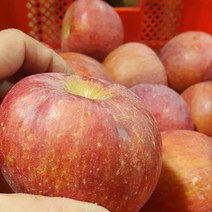 미얀마 부사 가정용 흠집 사과 혼합 4.5kg 9.5kg, 비얀마 부사 대과