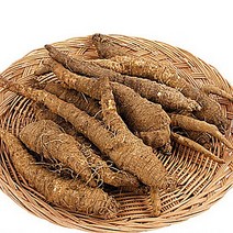 겨울더덕 산더덕 더덕요리 더덕효능 깐더덕 야생 햇 제철생더덕 1kg, 흙더덕 1kg/알뜰 가정용 (소/10cm내외), 1개