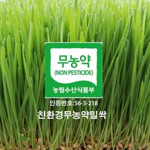 분당밀싹농장 밀싹300g 보리싹300g, 보리싹600g
