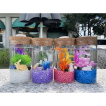 마리모키우기 국산 DIY 유리어항, 화이트, 요트, 초록