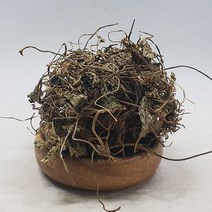 진도허브 청정지역 병풀 호랑이풀 톱풀 가새풀 300g, 병풀(호랑이풀)300g