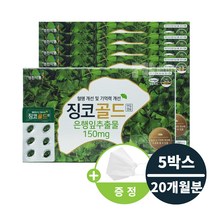 영진약품 징코골드 집중력 기억력 높이는 뇌 뇌기능 영양제 (KF94 마스크 증정) 머리 좋아지는 혈액 정맥 혈행 혈관 순환 손발저림 개선제 천연 은행잎 식약처 인증 건강기능식품, 120캡슐 x 5개(20개월분)