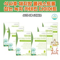 카테킨 틴 엽산 녹차다이어트 내장지방 한달 판토텐산 건강한 여자 Diet 술살 아랫배빼기 단기다이어트