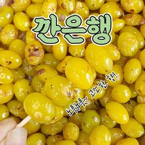 [GB] 순창에서 온 국내산 100% 깐은행 안깐은행, 깐은행 대 1kg, 1개