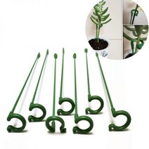 오링지지대 칼라디움 지주대 10개 꽃 원예용 가지 고정 화분, N01 .10pcs, 27cm