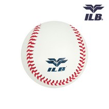 ILB 사회인용 취미운동 야구공 12개입