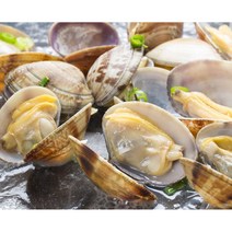 냉동바지락 500g 조개 (피바지락)