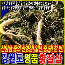 강원도 명품 황절삼 산삼 장뇌삼 산양삼 10뿌리 20뿌리 사포닌 부모님 선물, 2박스(20뿌리)