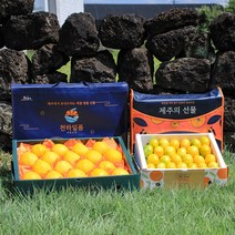 명품패키지 천하일품 과일 명절 선물세트 황금향, 1박스, 06.황금향 선물세트 중대과 4.5kg+4.5kg
