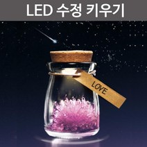 신기한 과학 실험 수정 만들기 키트 실험과학 화학