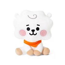 BT21 RJ인형 캐릭터인형 방탄굿즈, RJcm