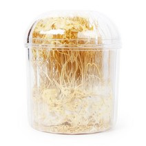 부부약업사 국내산 동충하초, 45g x 2개, 2개