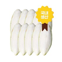 국내산 국내생산 갑오징어뼈및분말 천연칼슘제 강형욱 식분증 앵무새 거북이 달팽이 가재 이구아나 반려동물 천연지혈제 모든반려동물 무첨가 갑각류 설치류 조류 파충류, 뼈( 15cm이하)