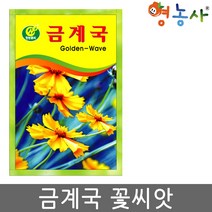 금계국씨앗 40립, 금계국