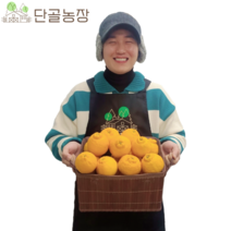 산지직송 제주 특산물 선물 1위 새콤달콤 명품 한라봉, 5kg / 선물용 / 대과(20~24과 내외)