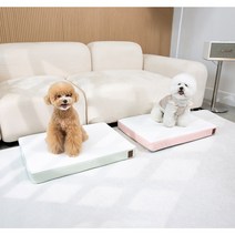 실리데일리 실리콘 마카롱 애견방석 사각쿠션, 핑크