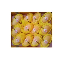 태국망고 5kg 신선한망고 과일선물, 100