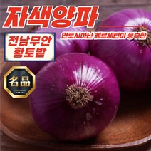 무안 황토밭 자색양파 10kg 5kg [미니/소/혼합], 무안 황토밭 자색양파 중대혼합 5kg