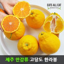 이츠올릿 제주 고당도 한라봉 감귤 3kg 제주도 하우스 귤 택배 선물 세트, 레드향_선물용_5kg(특대_8-16과)