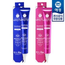 휘슬 덴티스마일 치약 50g x1개 (러블리베리 와일드미트 향), 러블리베리 50g x1개