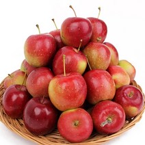 루비에스 미니사과 1kg 국산 햇사과 고당도, 1kg(20과내외)