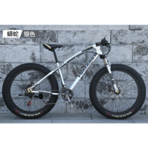 풀샥 MTB 자전거 고급 오프로드 두꺼운 타이어, 디자인 7_27단_26 인치