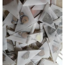 무작위 실제 나비 표본 잠자리 곤충 오리지널 멀티 핸드 크래프트 삼각형 가방, Random Color