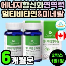직장인 에너지 면역력 캐나다 멀티 비타민 복합 무기질 종합 미네랄 30대 40대 50대 남편 아내 아빠 엄마 부모님 60대 중년 실버 활력 기력 피로 회복 개선 항산화 영양제 추천