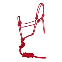 승마용품 동굴 여행 승마 장비 붉은 말 고삐 푸른, red, red