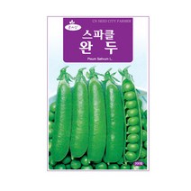 청농 완두콩씨앗 200립, 단품