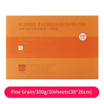 바오홍 Baohong-300g/m2 면 전문 수채화 책 20 장 손으로 그린 전송 용지 아티스트 그림 용품, [10] 380 260 fine grain