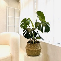 해초바구니 왕골 라탄바구니, 옵션1