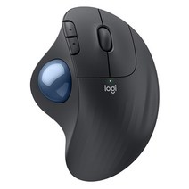 로지텍 ERGO M575 S 그래파이트 TR0006 트랙볼 마우스