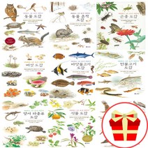 세밀화로 그린 보리 어린이 도감 시리즈 책 동물 흔적 갯벌 곤충 나무 민물 바닷 물고기 버섯 새 식물 양서류 파충류, 민물고기 도감