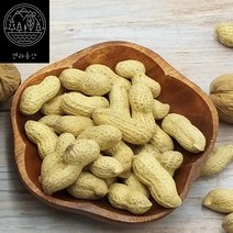 [견과동산] 햇땅콩 국산 피땅콩 껍질 땅콩 200g